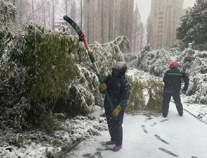 江苏省常州市金坛区住建局工联会：以雪为令，迅速开展“破冰行动” 